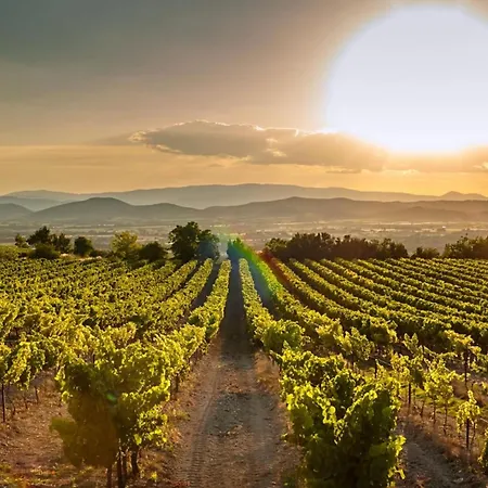 Romantic Getaway In The Heart Of Perpignan